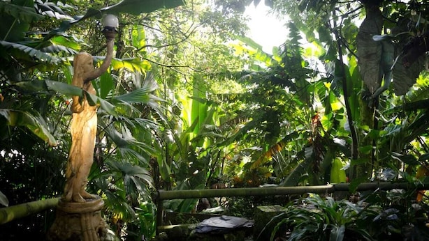 Garden - The Secret Buddha (La Estrella)