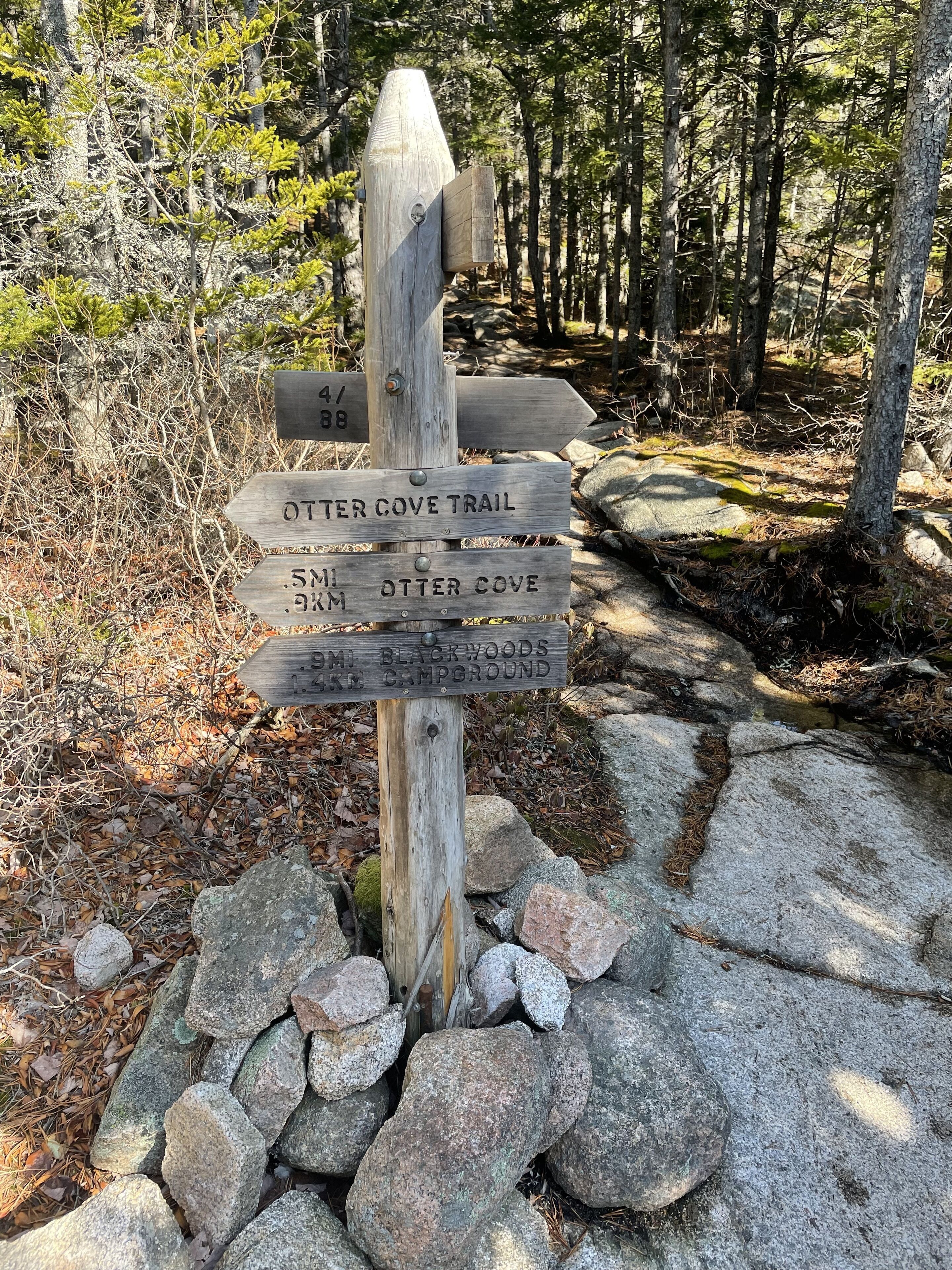 Trails in Otter Creek, Acadia National Park
