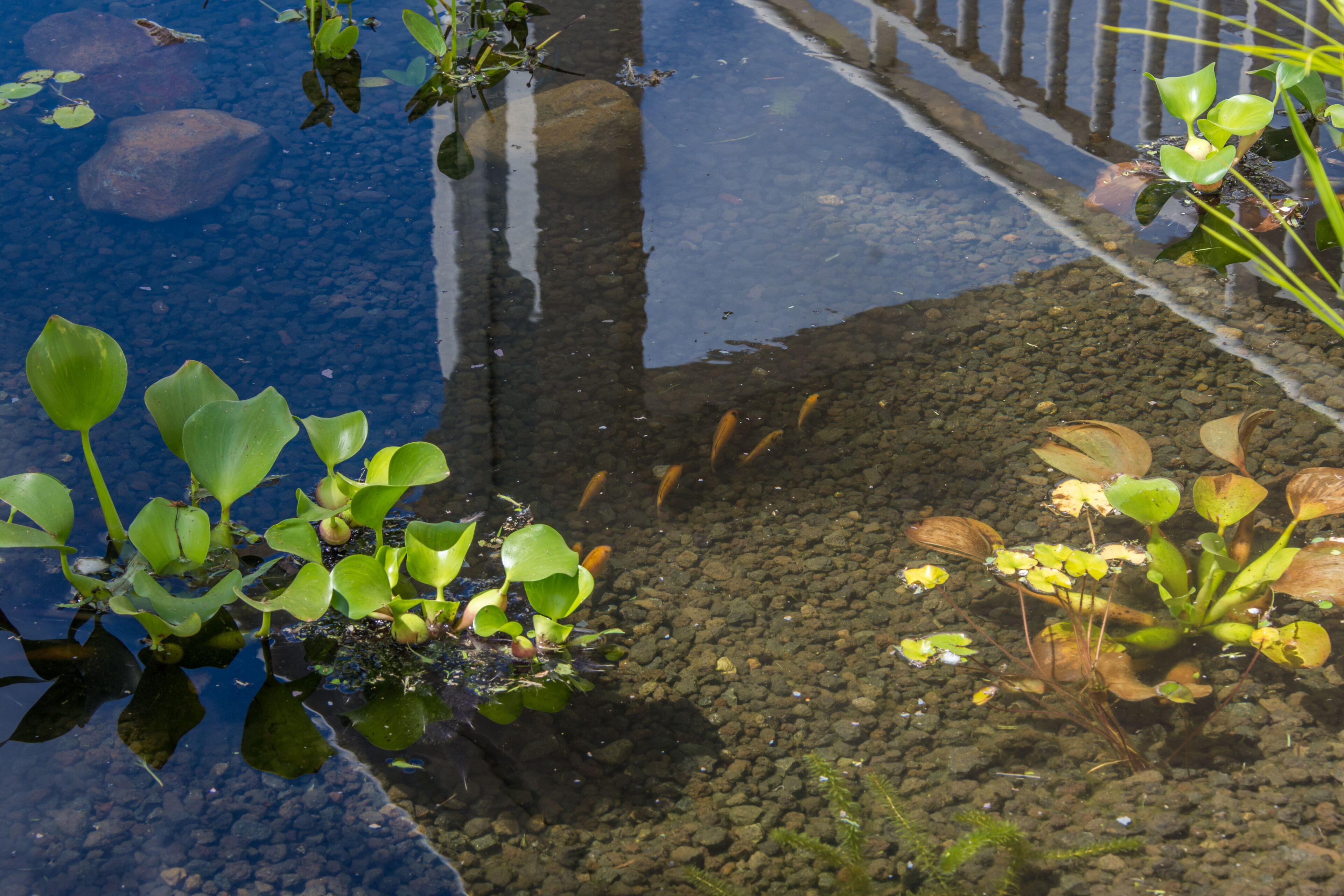 Foto - Hôtel Saint-Georges