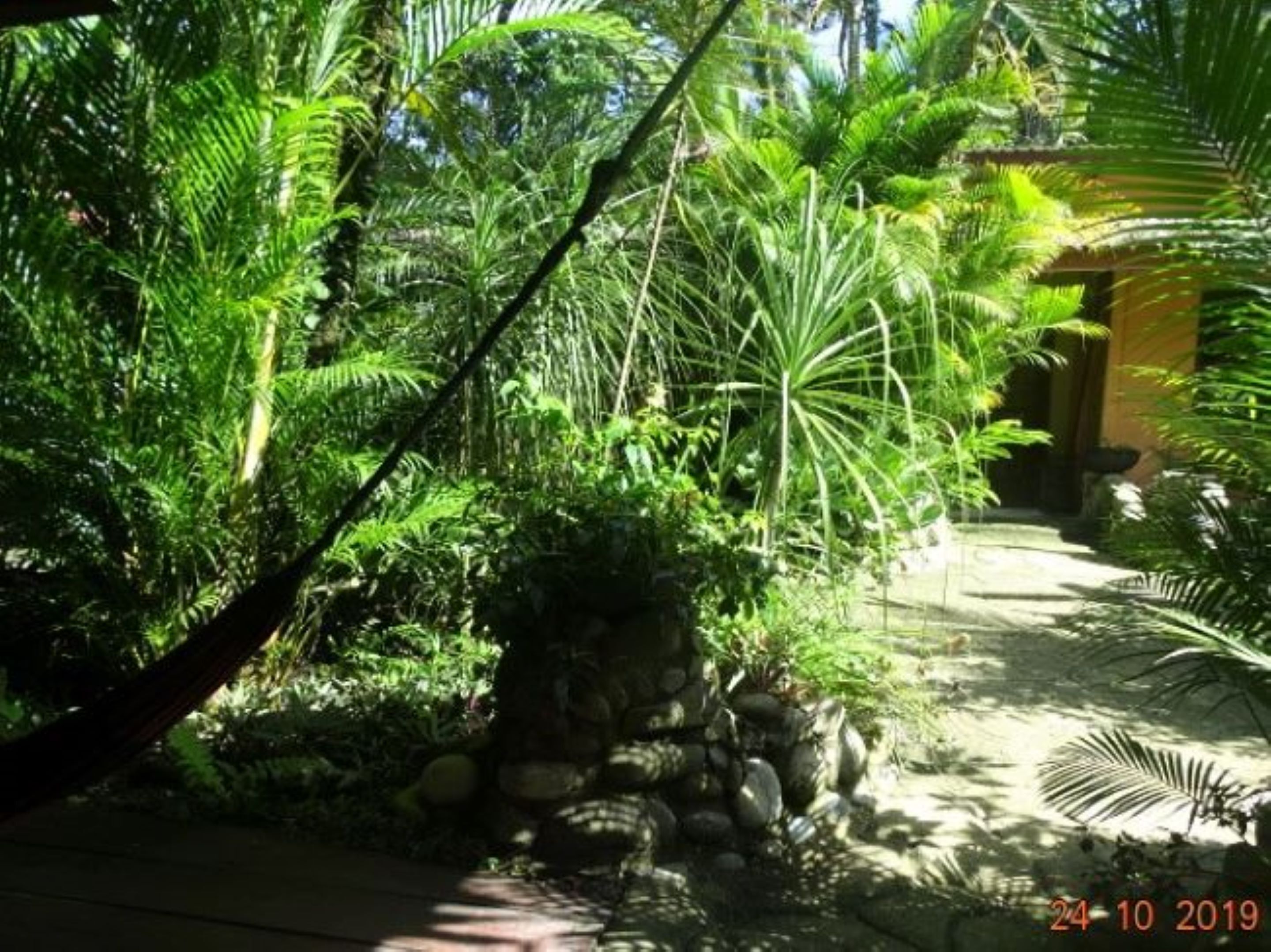 Standard Double Room | Garden view