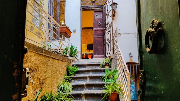 Una escalera estrecha con plantas en macetas, una puerta de madera y una barandilla de metal.