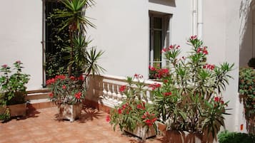 Courtyard view