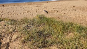 Een breed zandstrand met weinig begroeiing op de voorgrond.