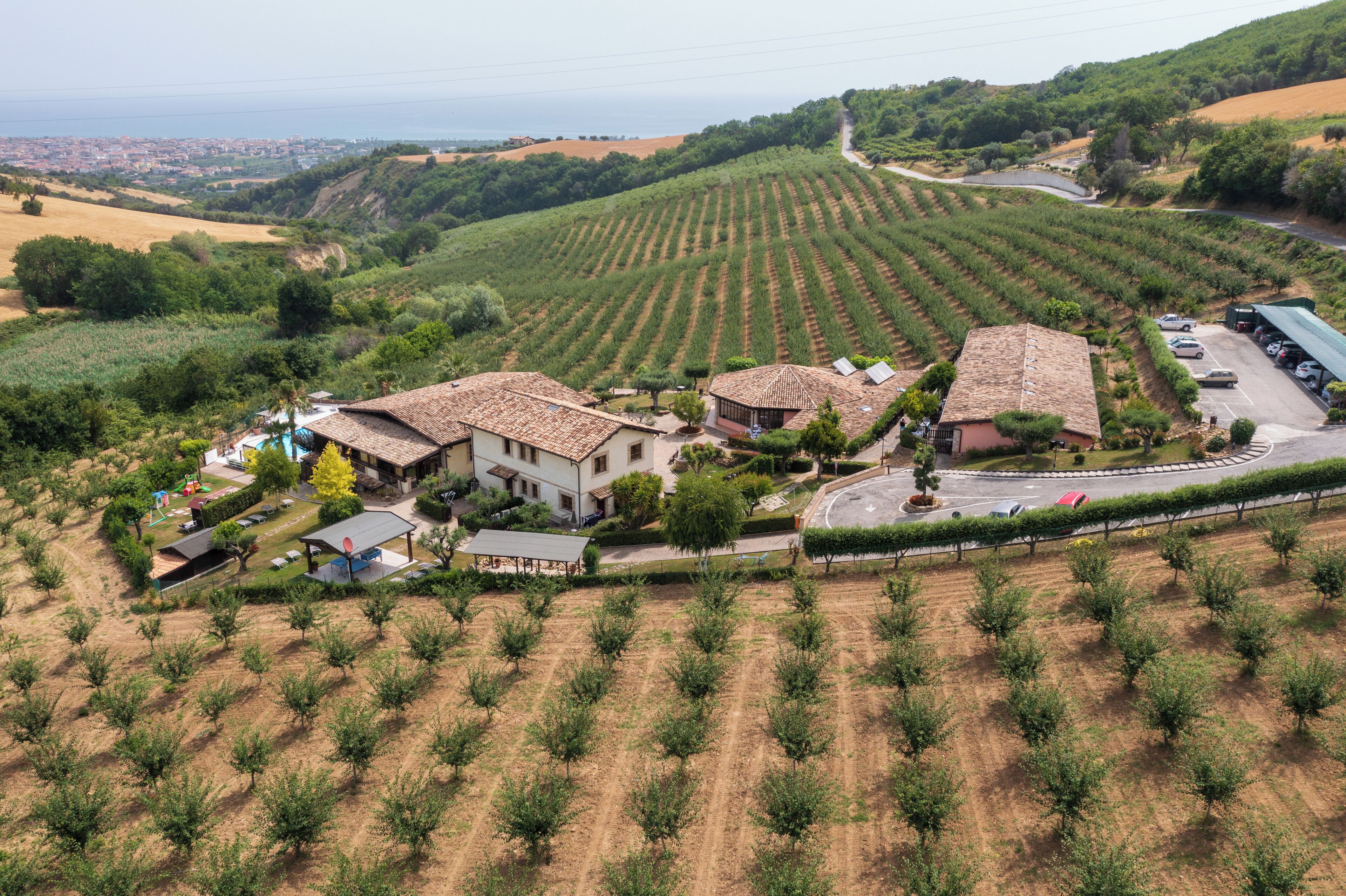 Vista aerea di un vigneto con file di viti, un edificio con tetto in tegole e un’area di parcheggio.