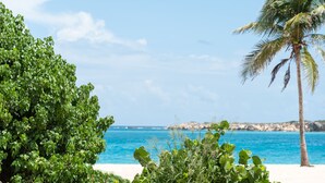 A beach with a palm tree, clear blue sky, and ocean. - Six View - Beach Front Apartment (saint martin)