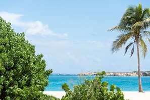 Sun-loungers, beach towels