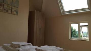 A bedroom with a skylight, a wardrobe, and a window with a view of greenery.