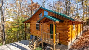 A wooden cabin with a porch, a green door, and a small staircase leading to the entrance.