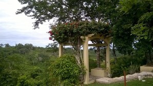 Puutarha, jossa on köynnöskasveilla ja kukilla peitetty pergola.