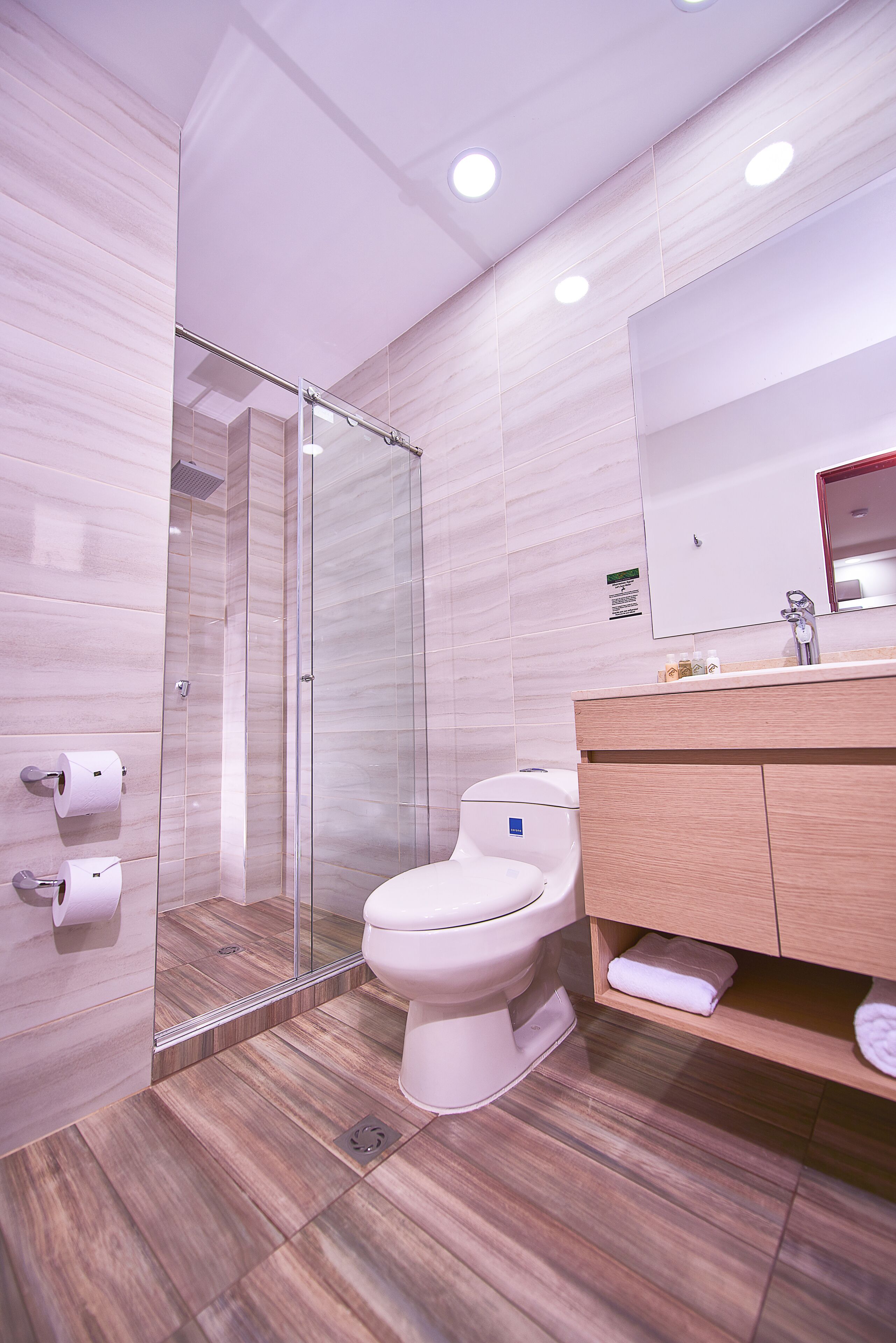 deluxe double room | bathroom | shower, free toiletries, hair dryer, towels