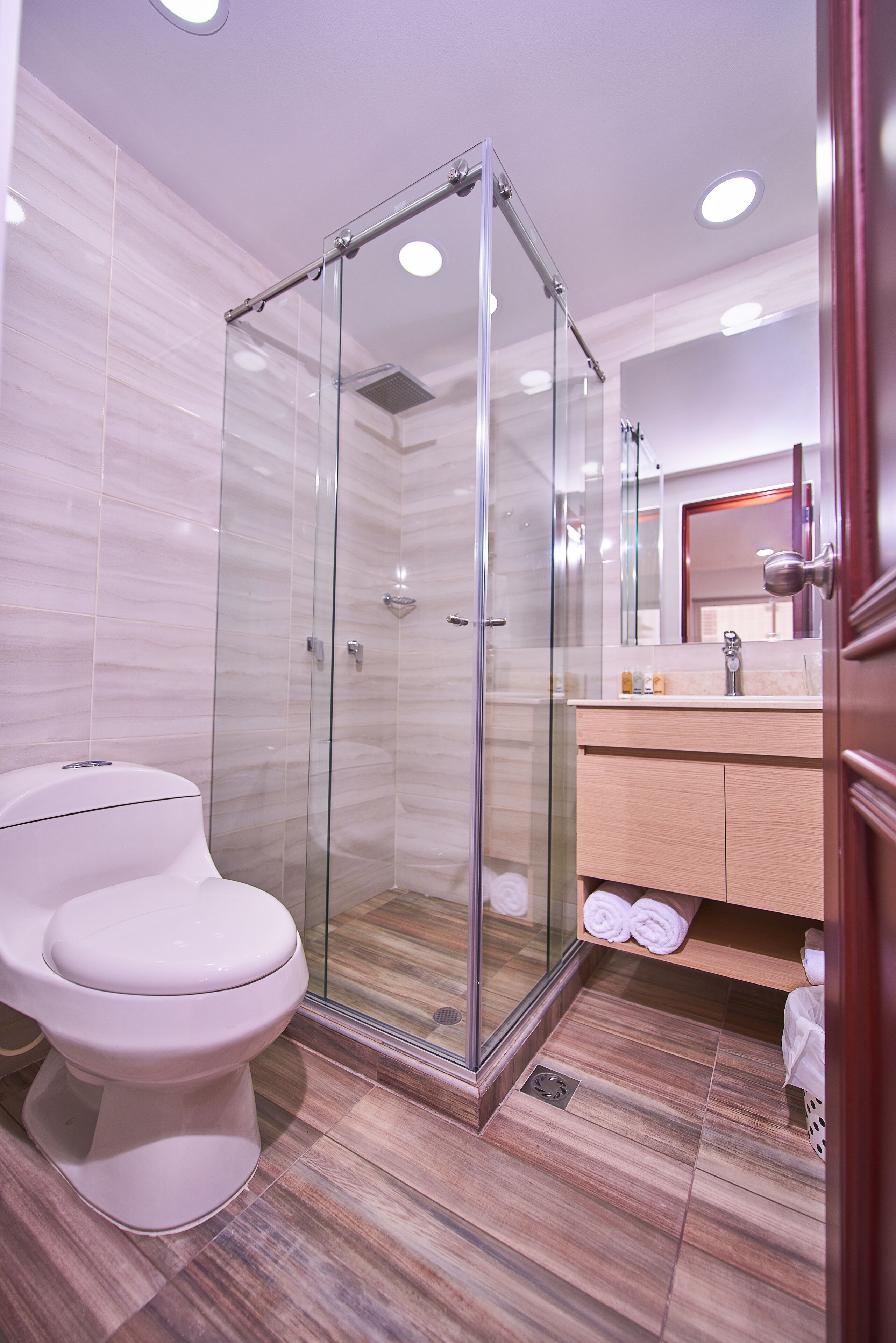 deluxe double room | bathroom | shower, free toiletries, hair dryer, towels
