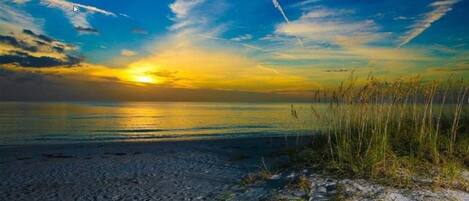 Playa en los alrededores, sombrillas y toallas de playa