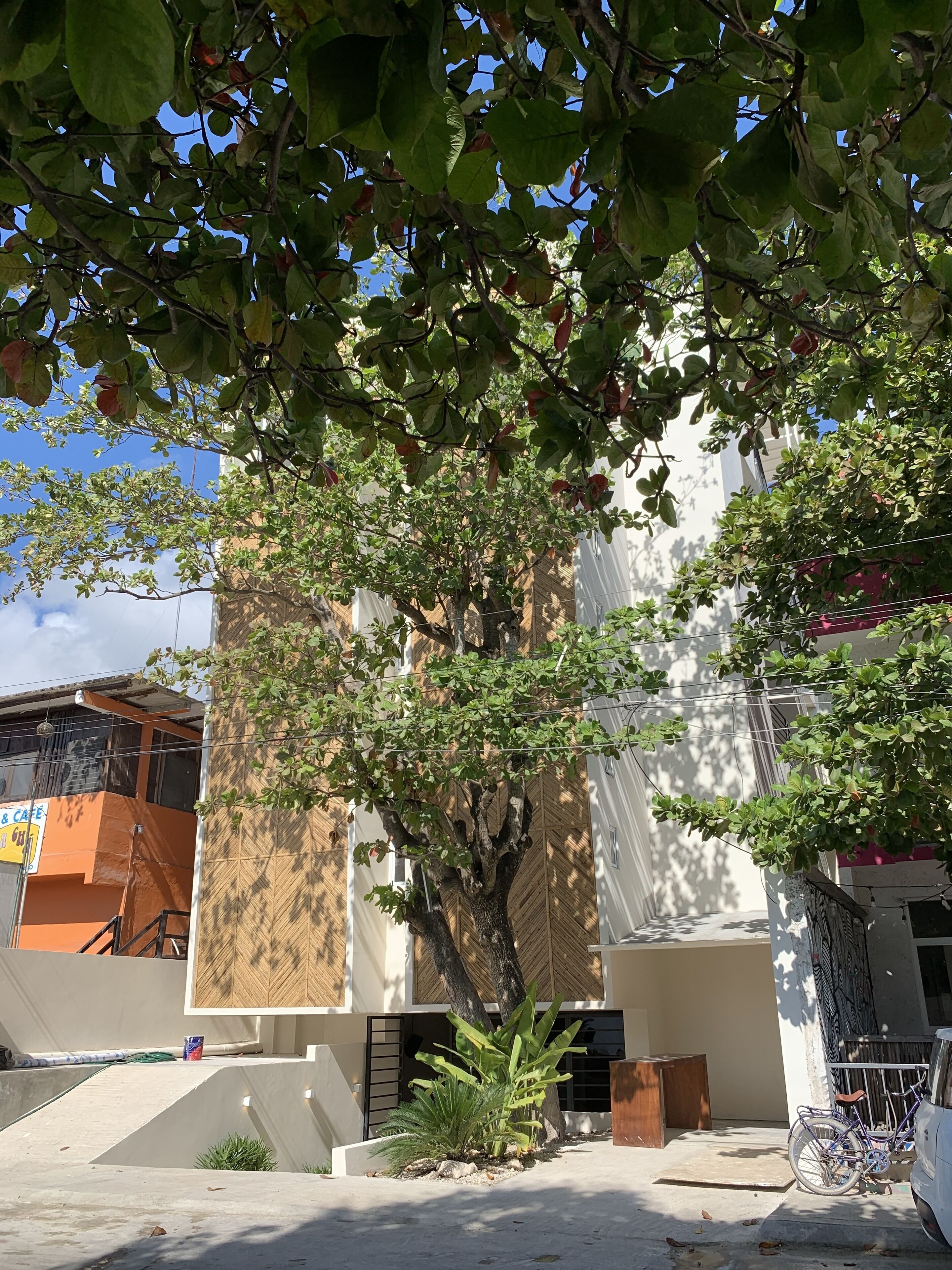 Foto - oOstel Smart Hostel - Tulum Pueblo