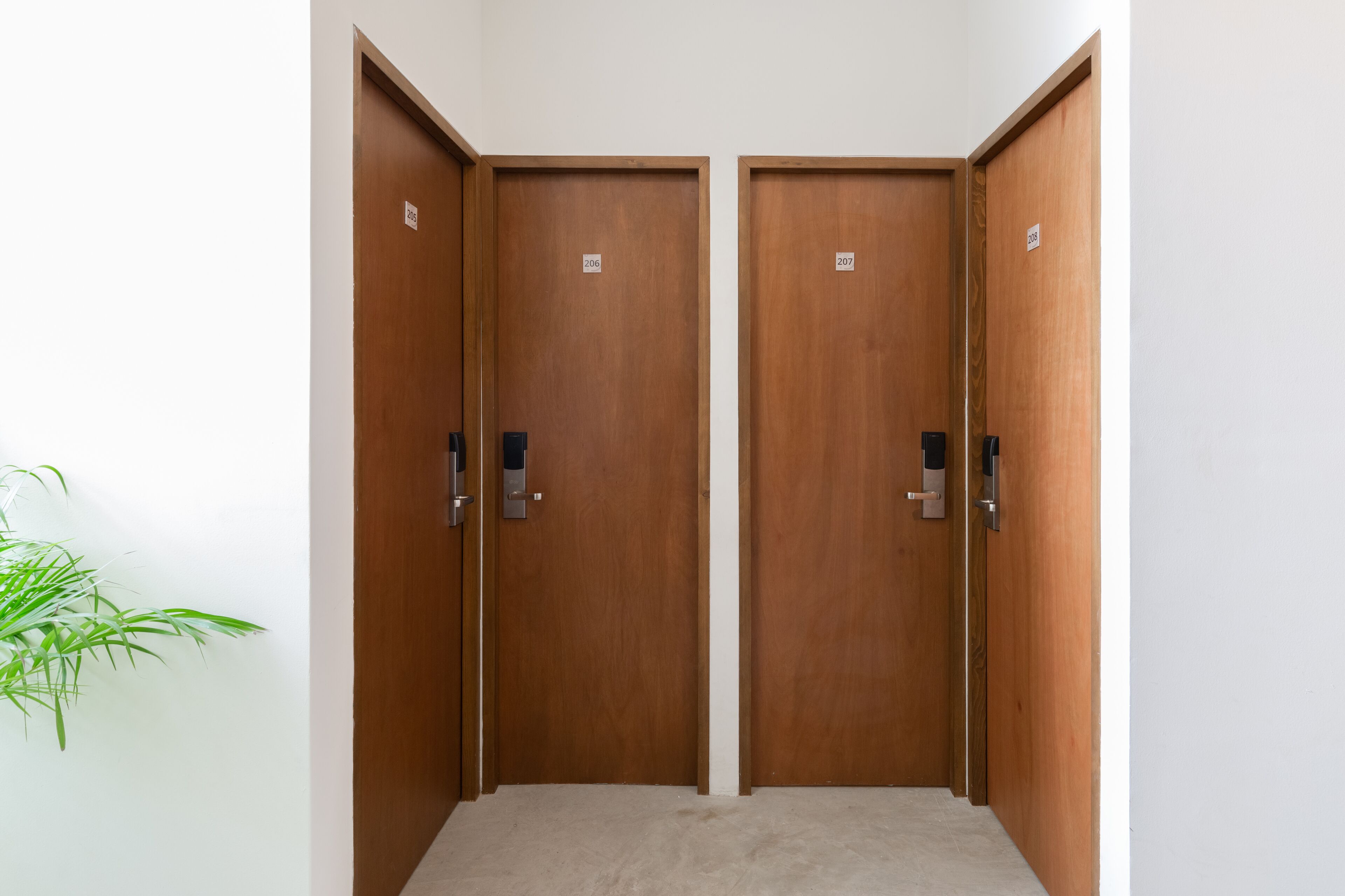 Foto - oOstel Smart Hostel - Tulum Pueblo