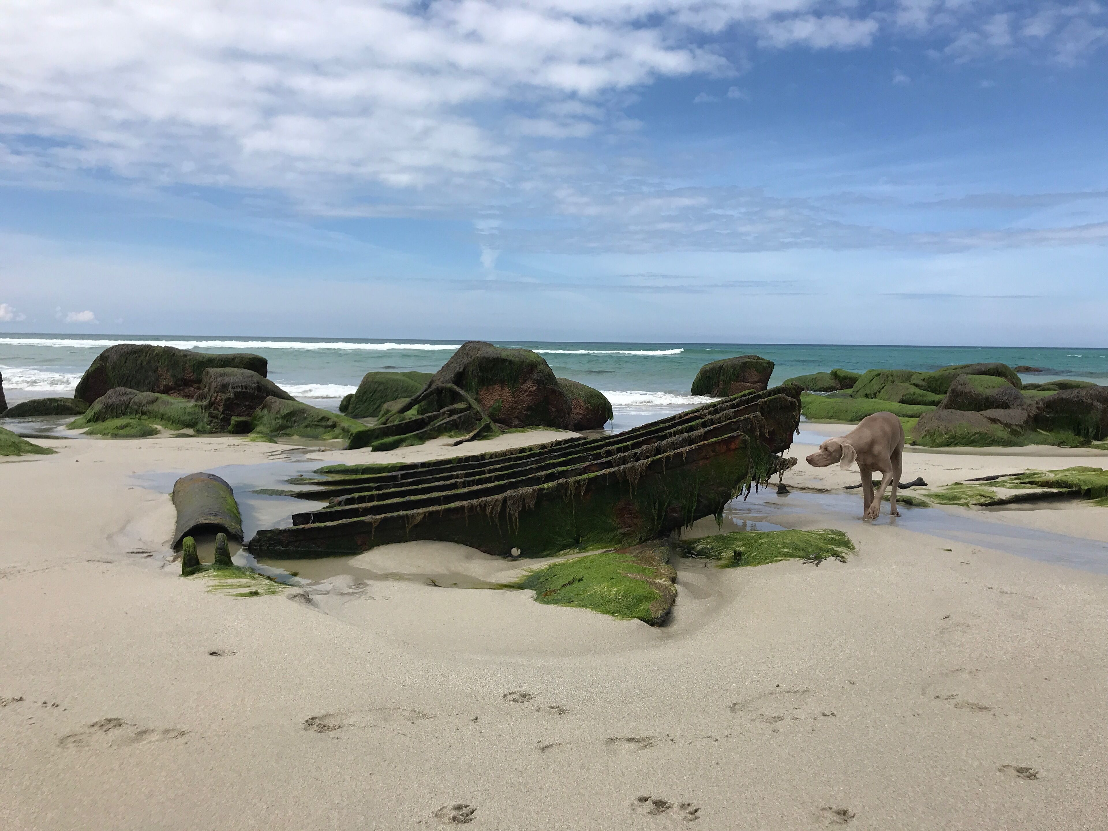Strand