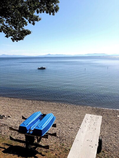 Servicios modernos! Kayaks / Paddle Boards / Velero / Bote de remos siempre !!