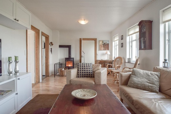 Una televisión, una chimenea, un reproductor de DVD