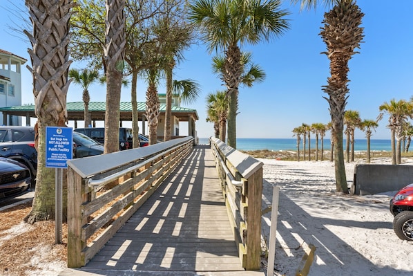 Stroll along the boardwalk to the beach, surrounded by tall palm trees and a clear sky.