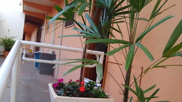 Garden - Pousada do Sol (Bauru)