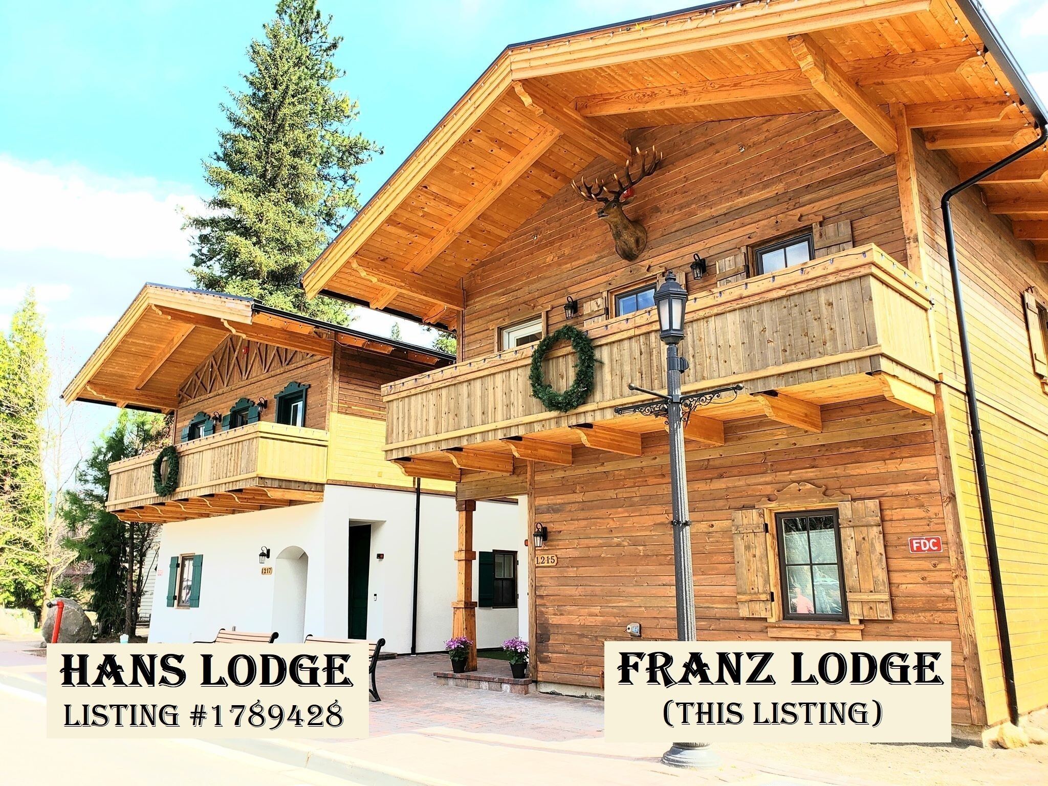 Franz Lodge / Downtown * Sleeps 15+ * Groups Welcome! * Hot Tub * Pets
