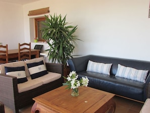 Una televisión, un reproductor de DVD, una mesa de tenis de mesa, libros