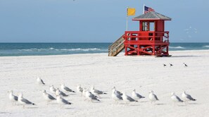 Chaises longues, serviettes de plage