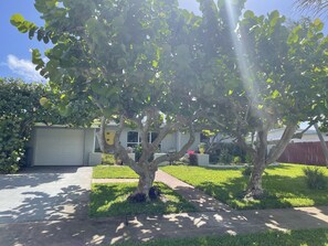 Property grounds - Sea Grape Escape Mid-Century Modern Pool home! (North Palm Beach)