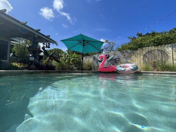 Pool - Sea Grape Escape Mid-Century Modern Pool home! (North Palm Beach)