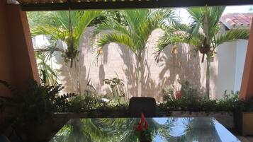 Jardim