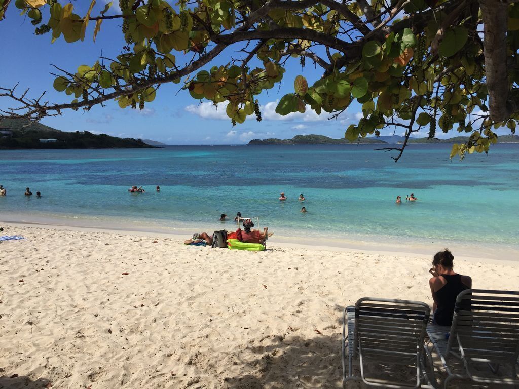 A beach with clear turquoise water, people swimming and sunbathing, and a tree providing shade.