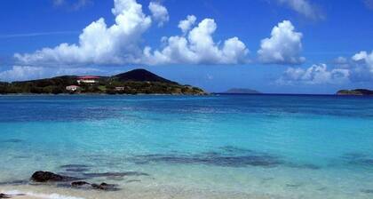 Moderne, voll möblierte Wohnung zu Fuß zum Strand, Marina, Segeln, Red Hook, Fähre