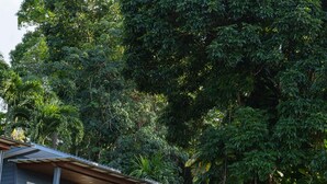 A two-story house with a balcony, surrounded by lush tropical vegetation. - Phuket View Coffee and Resort (Chalong)