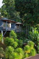 Tropical Room | Balcony view