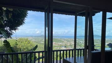 Tropical Room | Vue de la chambre