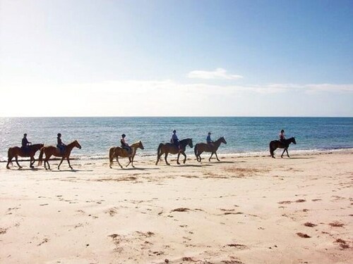 Carrickalinga Cottage - relaxing beach escape