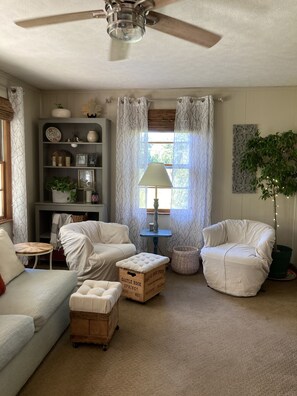 Smart TV, DVD player, books