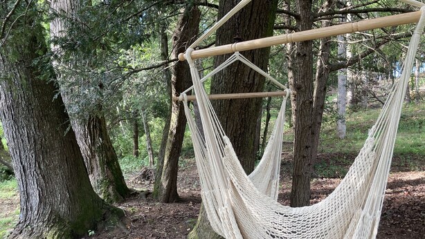 A hammock suspended between trees in a forested area. - Chickadees Cottage and Pottery - centrally located, private comfortable cottage. (Arden)