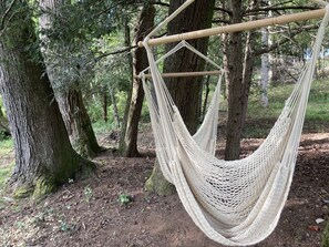 A hammock suspended between trees in a forested area.