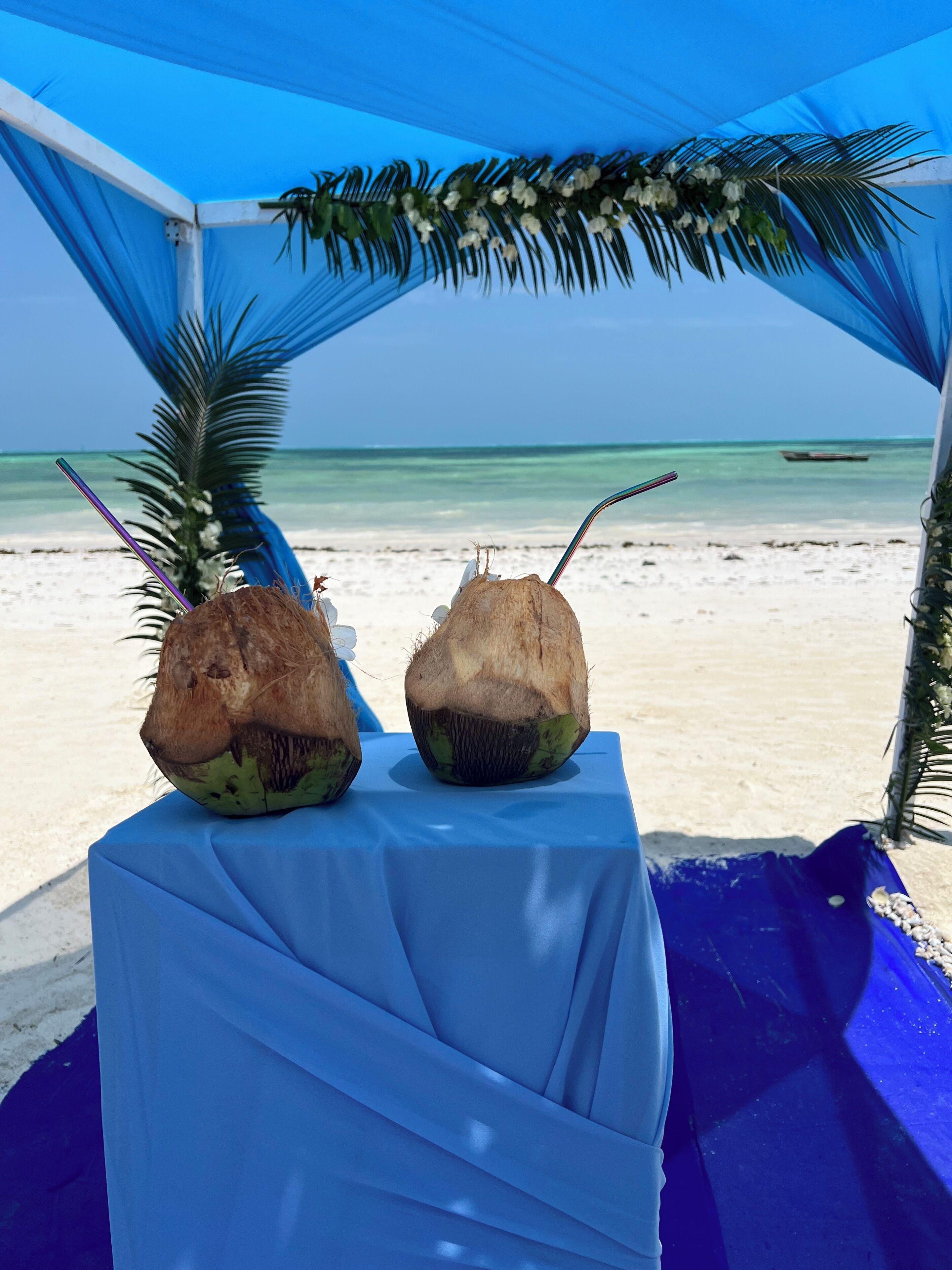Een tent aan het strand met twee kokosnoten op een tafel, palmbladeren en een helder uitzicht op de oceaan.