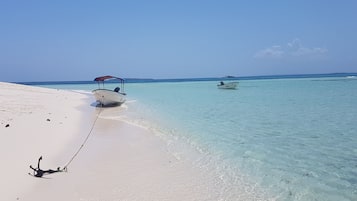 Paseos en bote