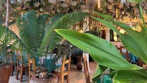 A room with hanging planters, a dining area with chairs and tables, and a large potted plant in the foreground. - Gadea Boutique Hotel (Jambiani)