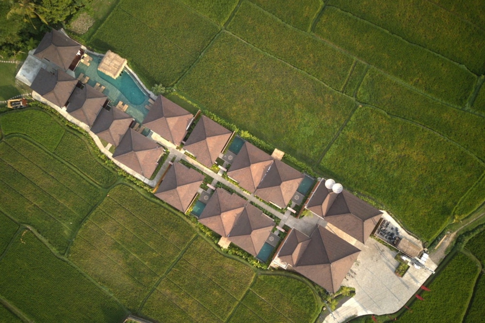 Beautiful Villa with Private Pool overlooking to Rice Field