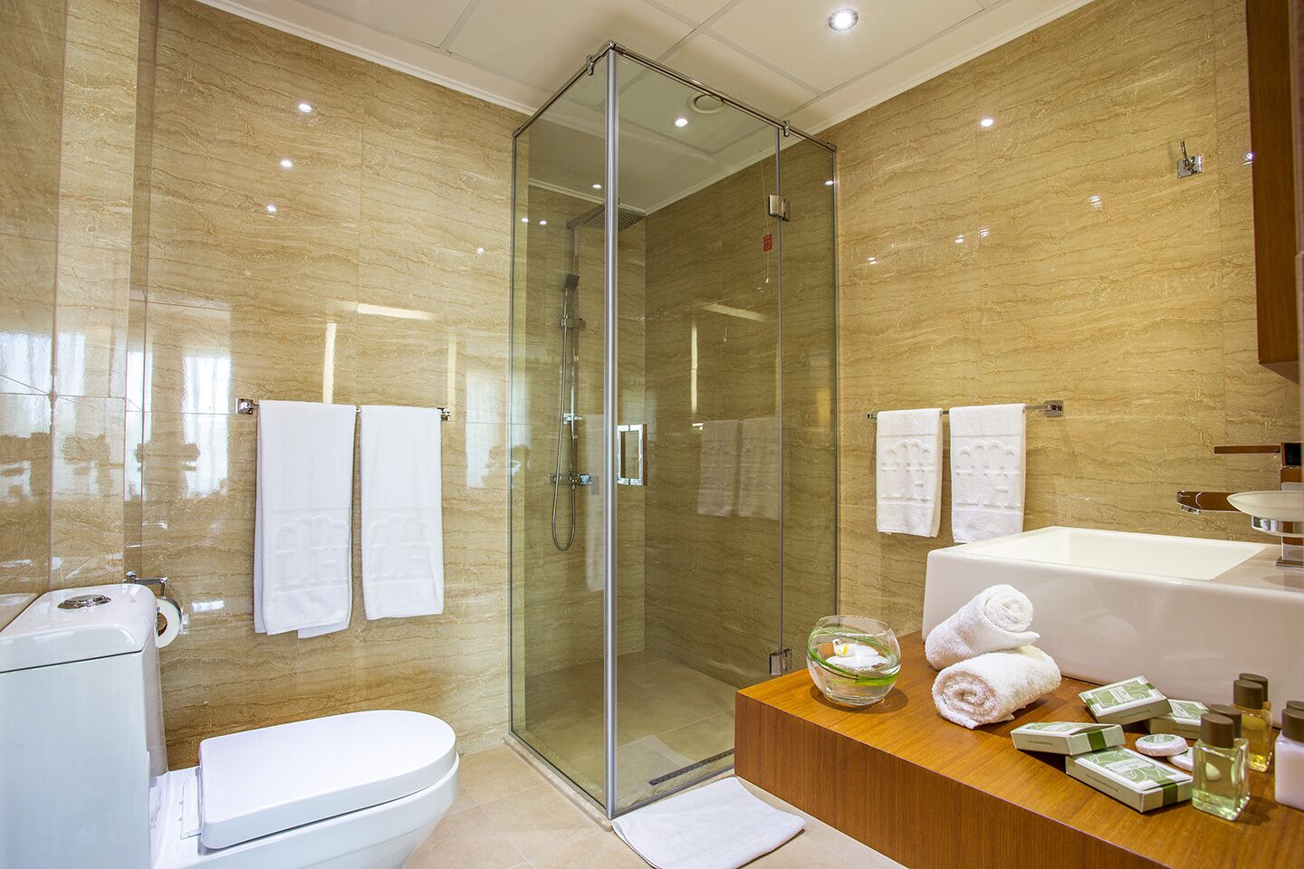 superior double or twin room, lake view | bathroom | shower, free toiletries, hair dryer, slippers