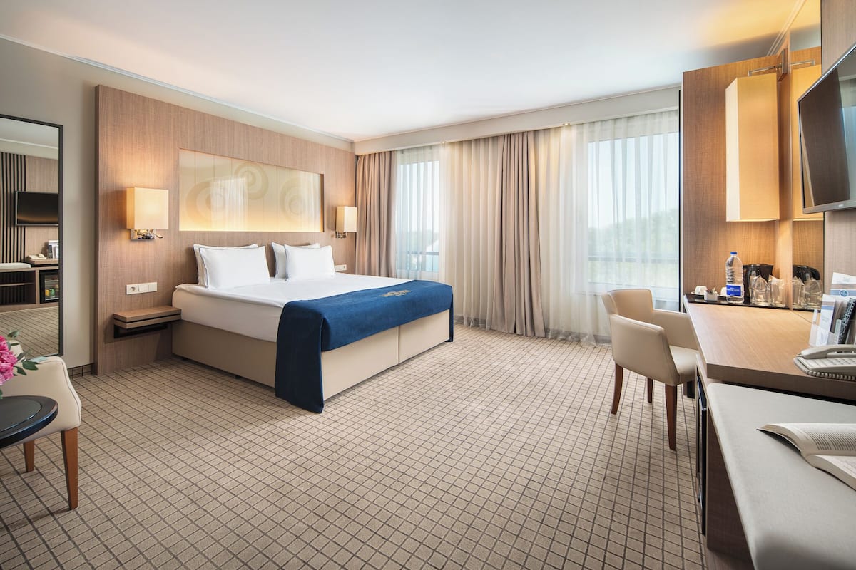 A hotel room with a large bed, a desk, a chair, a TV, and a window with curtains.