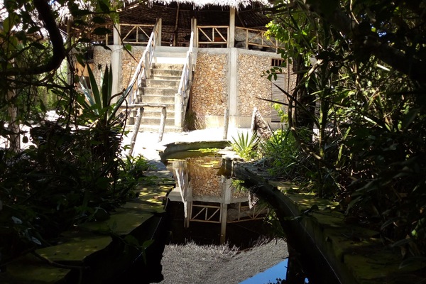 Platform Bar and restaurant with aquarium view