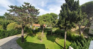 Vista desde la habitación