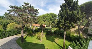 Vistas desde la habitación