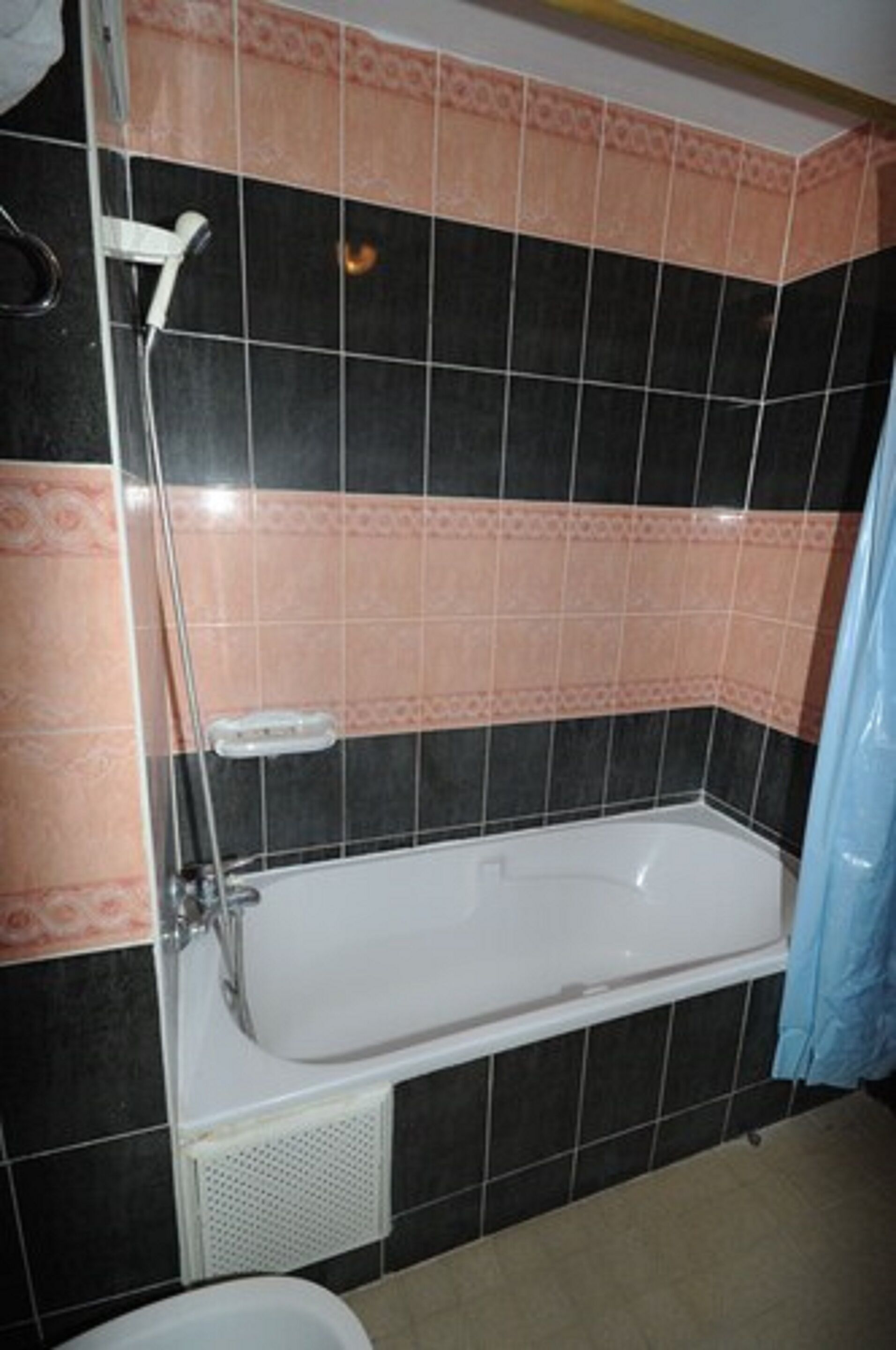 Un baño con bañera, ducha y retrete.