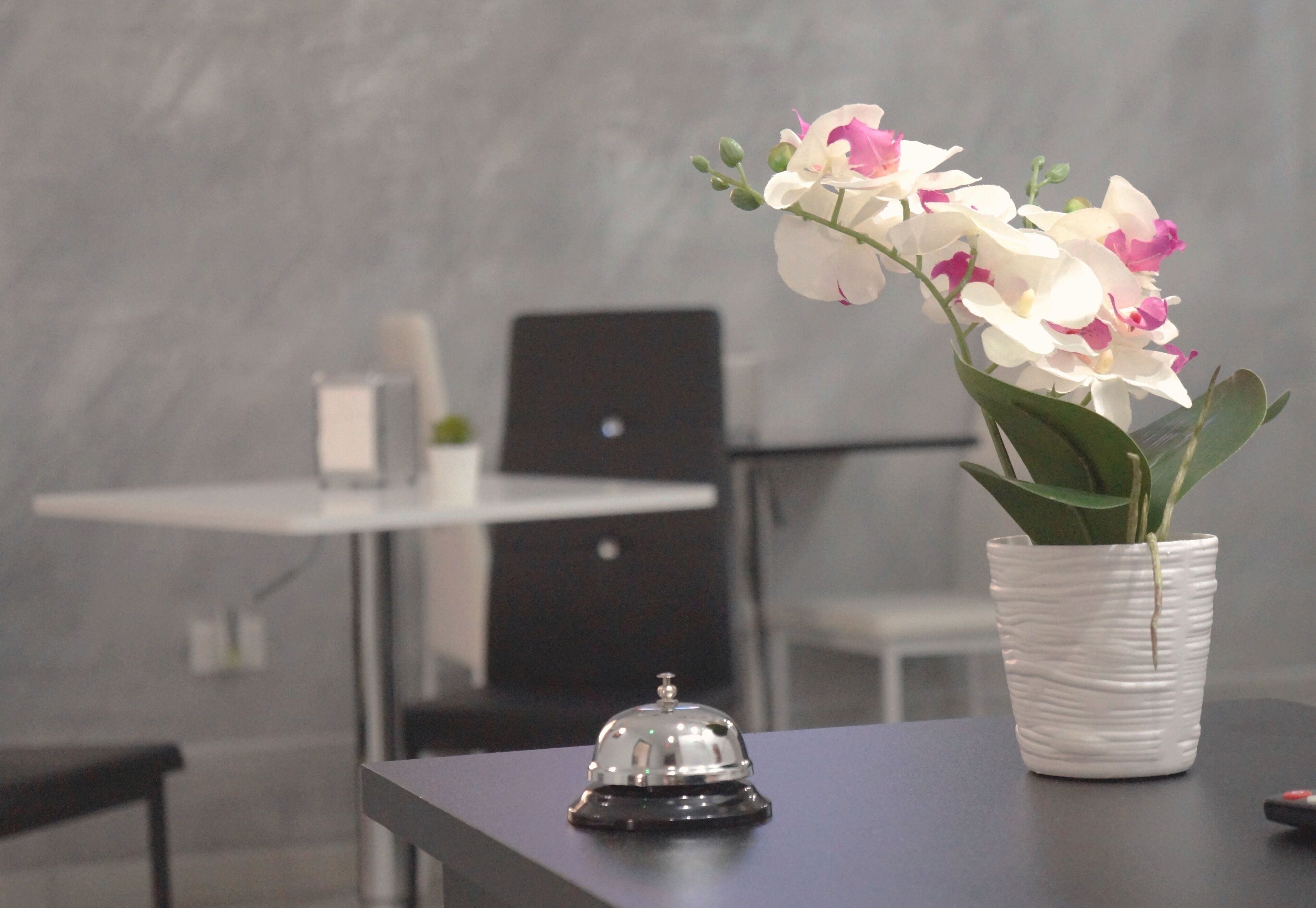 Détail de l’intérieur