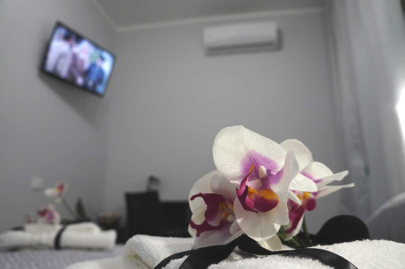 Minibar, in-room safe, individually decorated, individually furnished